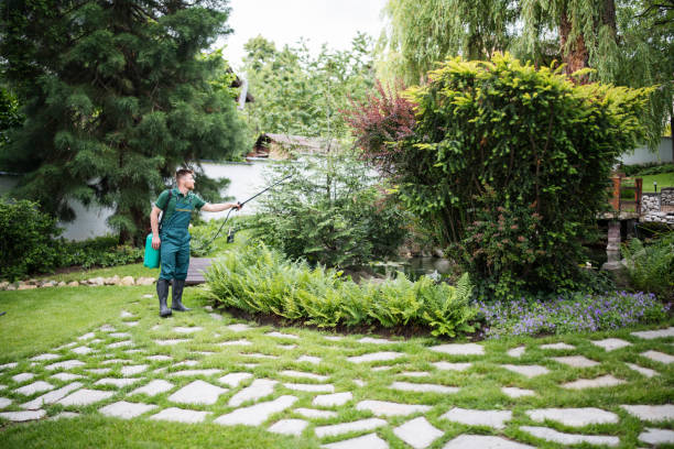 Best Mosquito Control Services  in South Haven, MI
