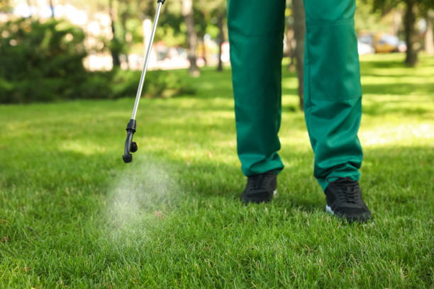 Best Flea Control Services  in South Haven, MI