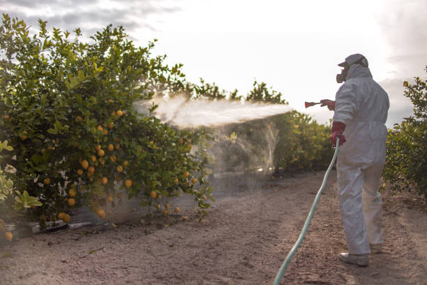 Best Wasp Removal Services  in South Haven, MI