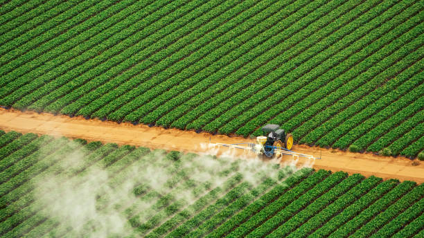 Best Mosquito Control Services  in South Haven, MI