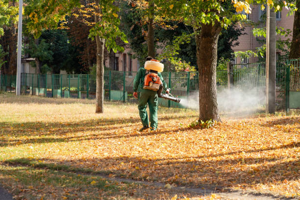 Wildlife Control Services in South Haven, MI