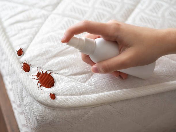 Best Cockroach Control Services  in South Haven, MI