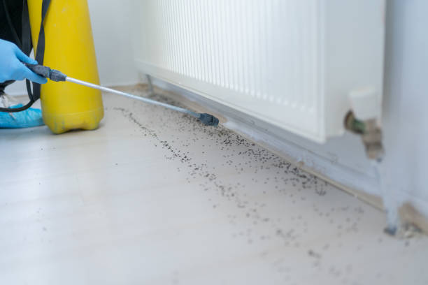 Professional Pest Control in South Haven, MI