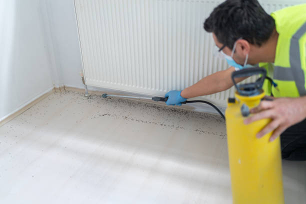 Best Commercial Pest Control Services  in South Haven, MI