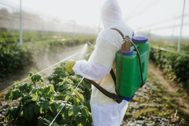Best Affordable Pest Control Services  in South Haven, MI